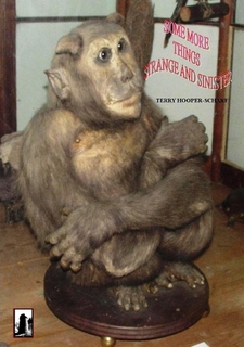 Some More Things Strange & Sinister